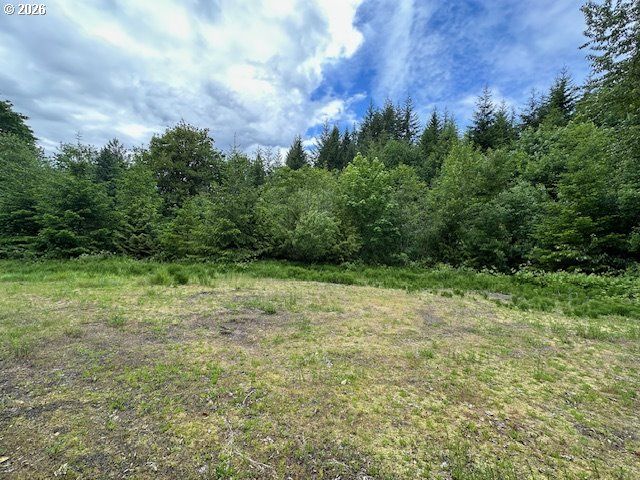 257 Serenity Ln, Kalama, WA 98625