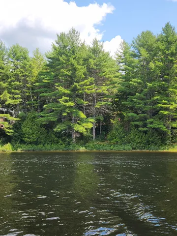 67 E Beddington Lake Road, Cherryfield, ME 04622
