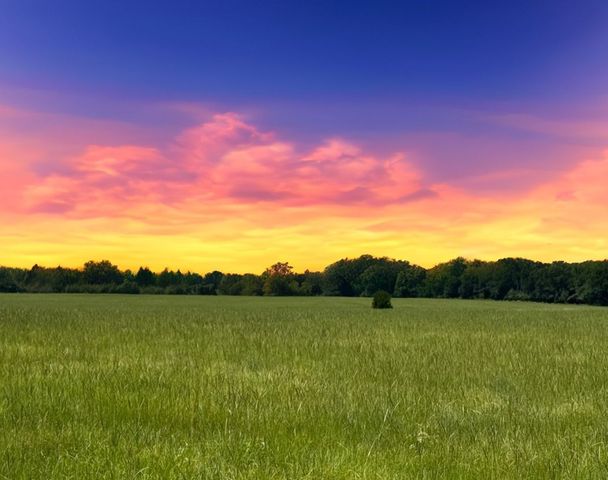 12675 County Road 2922, Eustace, TX 75124