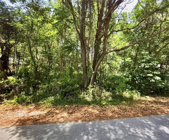 41 Pine Trace Crse #10, Ocala, FL 34472
