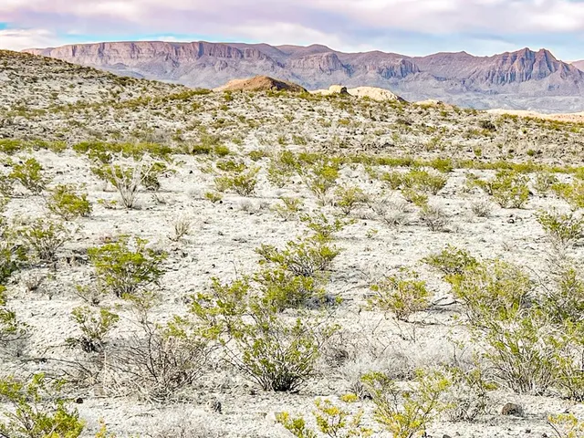 19795 Reimers Rd, Terlingua, TX 79852