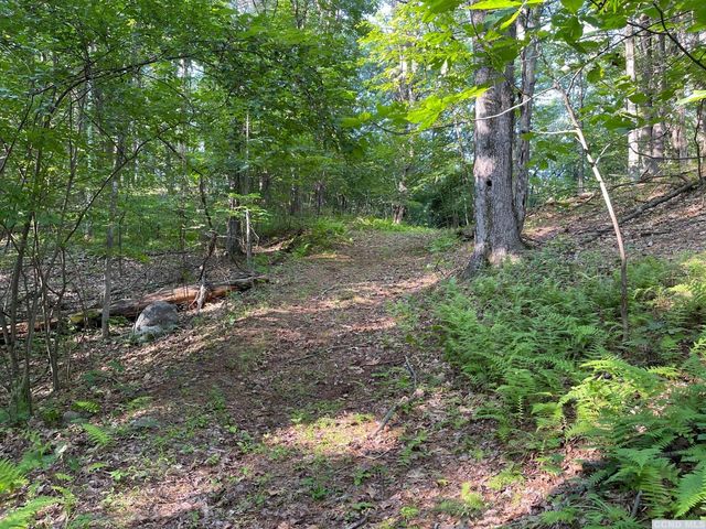 Canniff Rd, Freehold, NY 12431
