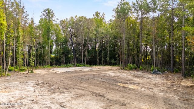 0 Us Hwy 117 N Lot 3, Willard, NC 28478