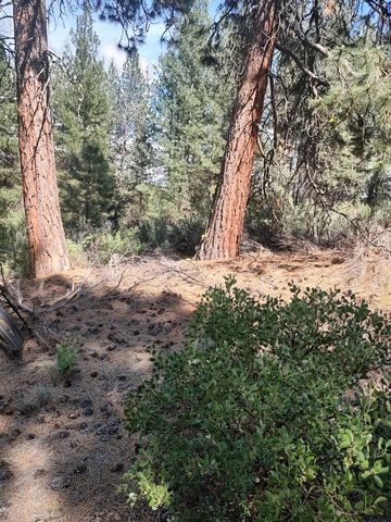 Lot 16 Stillwater Way, Chiloquin, OR 97624