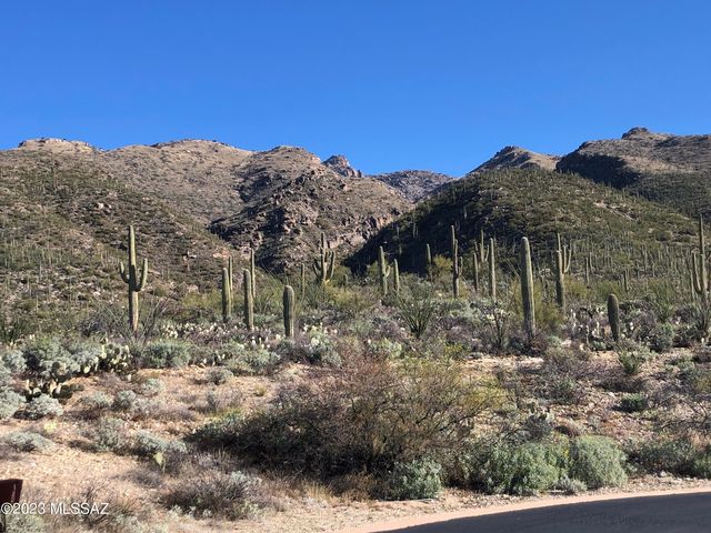 10632 N  Gibbon Canyon Pl, Tucson, AZ 85749