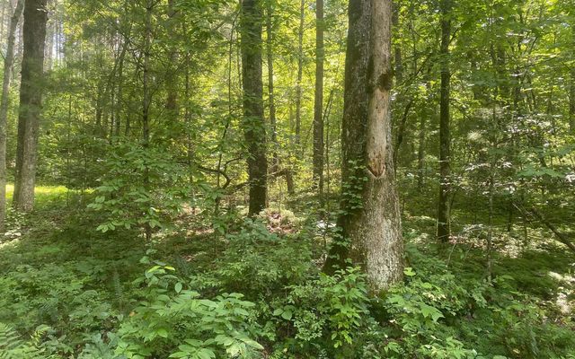 Murphy Hwy, Mineral Bluff, GA 30559