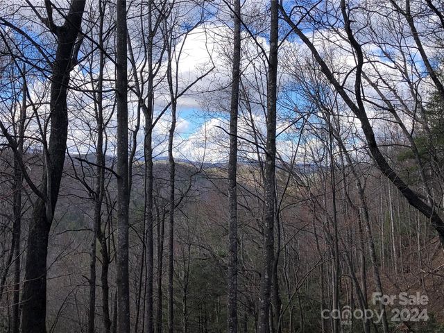 Hickory Hollow Rd #141B, Purlear, NC 28665