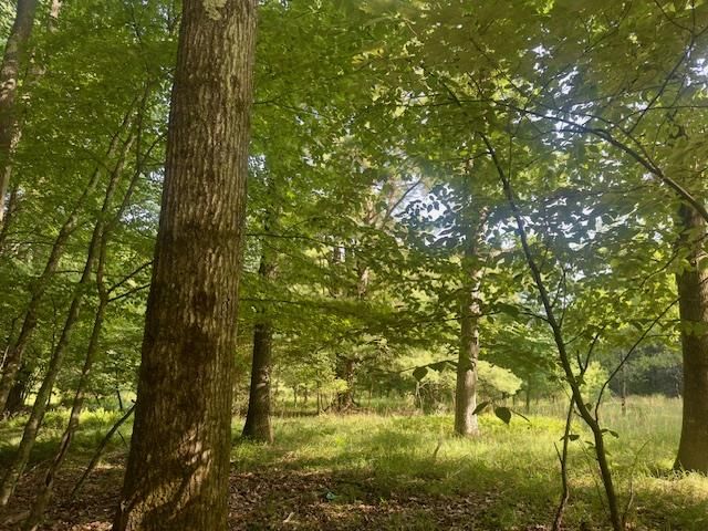 Neiltown Rd, Pleasantville, PA 16341