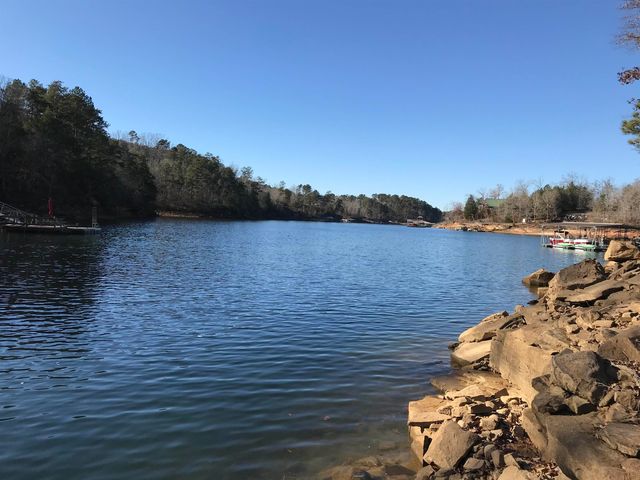 Lot 113 Sipsey Pike, Double Springs, AL 35553