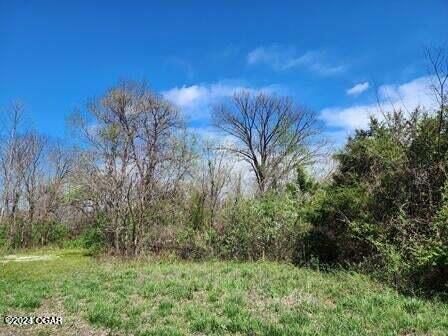 Tract 4 N  Highway D, Webb City, MO 64870