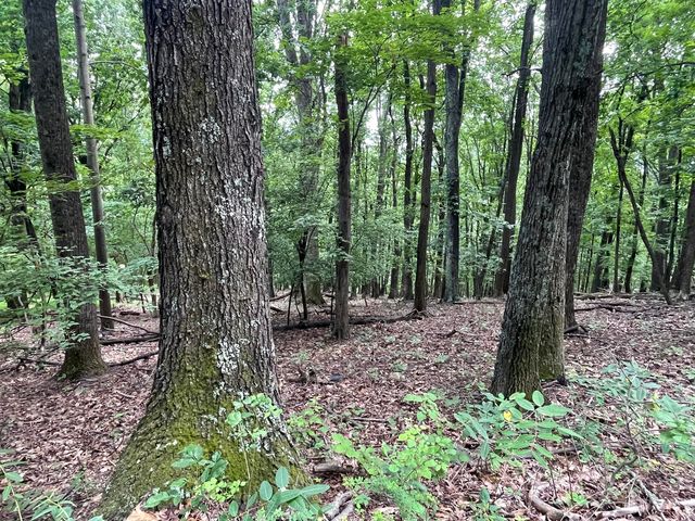 311 Willowridge Dr #47, Thaxton, VA 24174