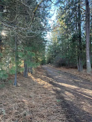 20 N  Cedar Rd, Colbert, WA 99005