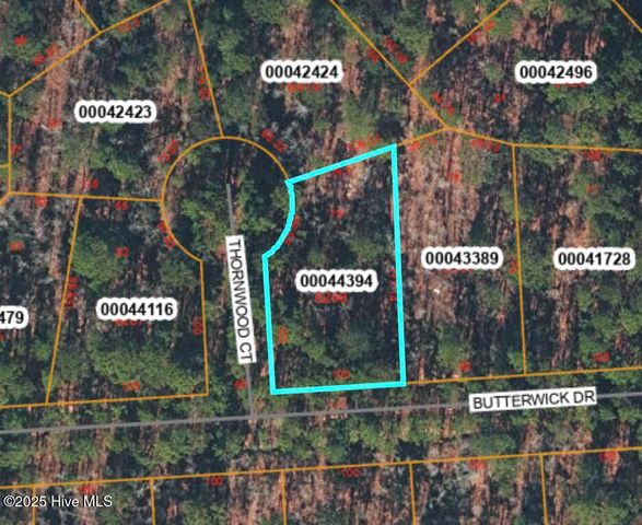 Tbd Thornwood Court, Vass, NC 28394