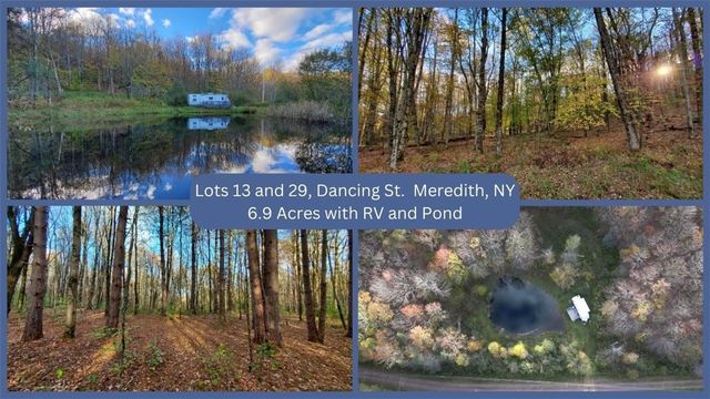Lots 13 And 29 Dancing St   #13, Bloomville, NY 13739