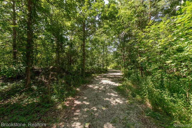 S  Sashabaw Rd, Ortonville, MI 48462