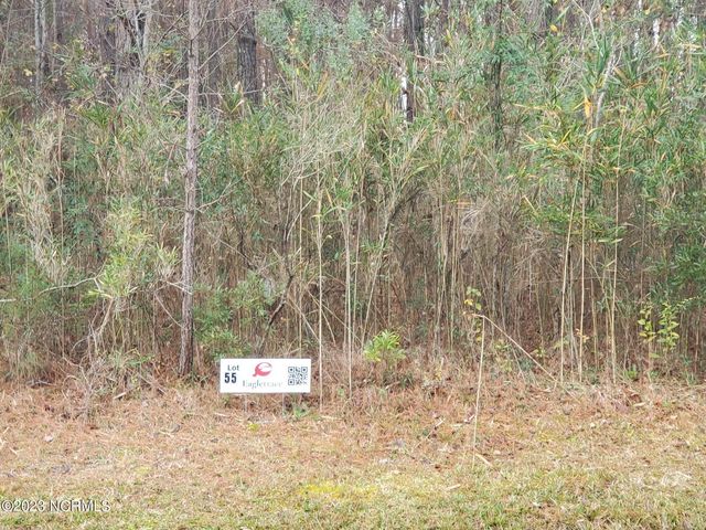 Lot 55 Eagle Nest Trail, Blounts Creek, NC 27814