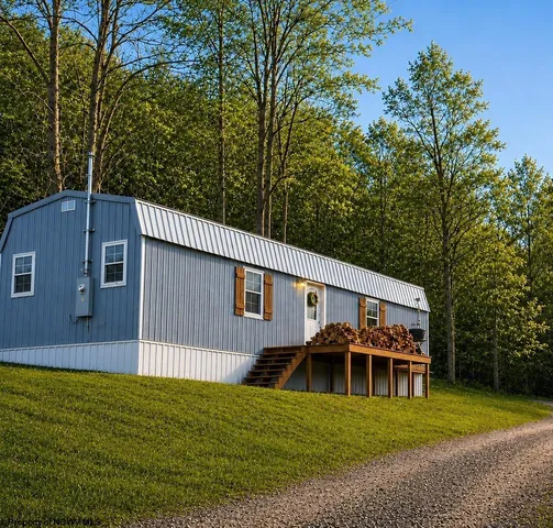1088 Campbells Run Rd, Metz, WV 26585