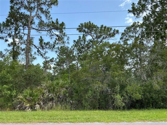 LOT 21 PEABODY STREET LOT 421, Orlando, FL 32833