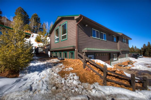 253 Anderson Road, Florissant, CO 80816