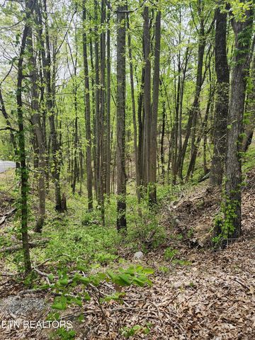 Lot 1 Hatcher Mountain Rd, Sevierville, TN 37862