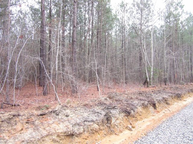 Tract 5 State Highway 231, Spring Hope, NC 27882