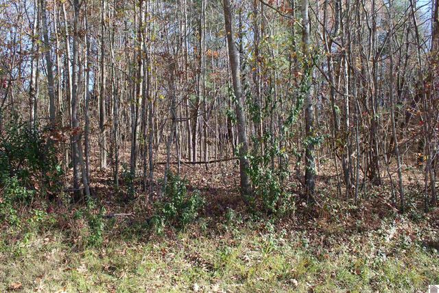 Backstrom Hts, Eddyville, KY 42038