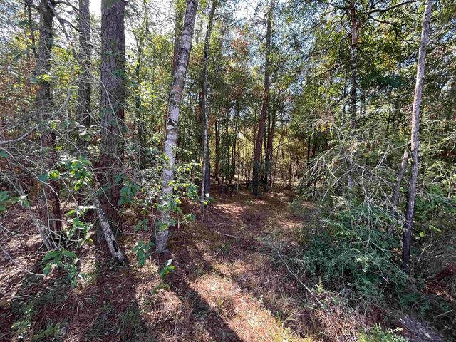 Private Road 5172, Kirbyville, TX 75956