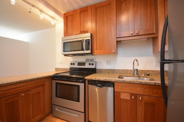 450 W  Briar Pl #12J, Chicago, IL 60657