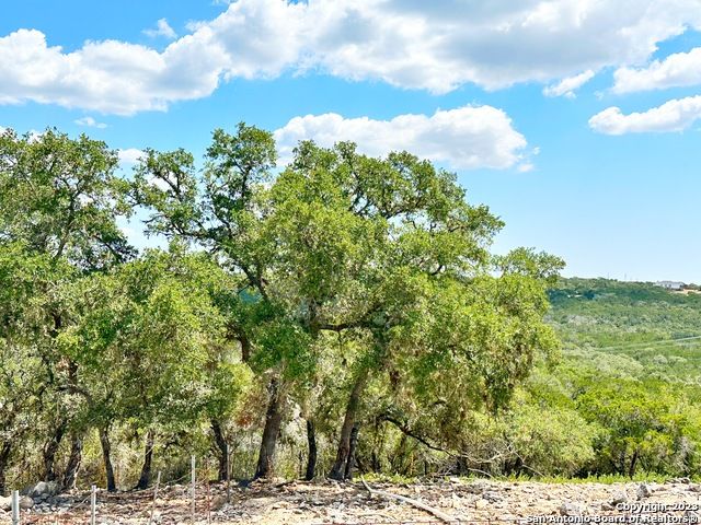 1130 COUNTY ROAD 270, Mico, TX 78056