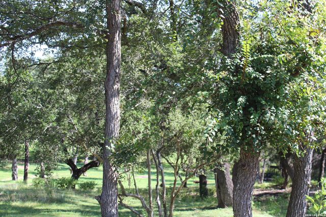 878 LEDGEVIEW DR. LOT 259, Canyon Lake, TX 78133