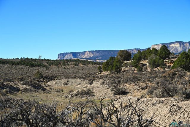 Pecos Dr, Tierra Amarilla, NM 87575