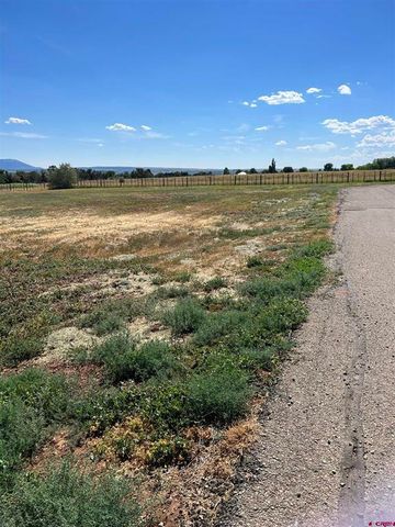 Tbd Road S 85, Dolores, CO 81323