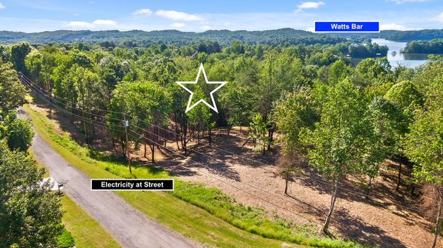 Lot 12 Piney View Dr, Spring City, TN 37381