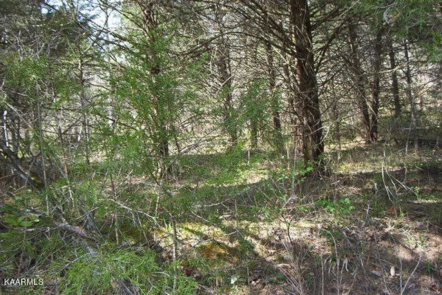 Poore Hollow Ln   #8, Hestand, KY 42151