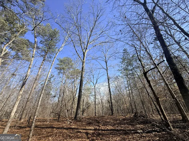 1 Bunch Rd, Tignall, GA 30668