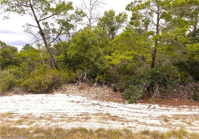 209 Coolidge Ave NE, Lake Placid, FL 33852