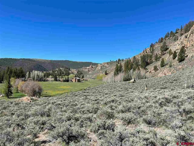 County Road 744, Almont, CO 81210