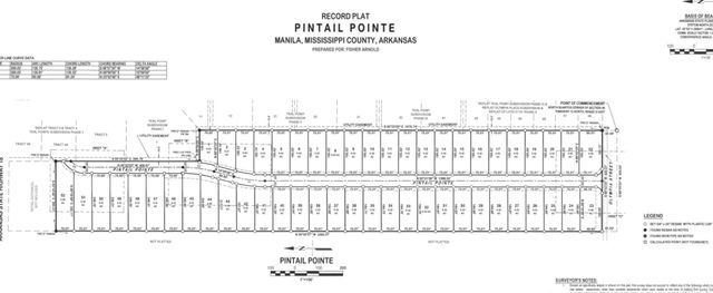 Lot 6 Pintail Pointe See End, Manila, AR 72442