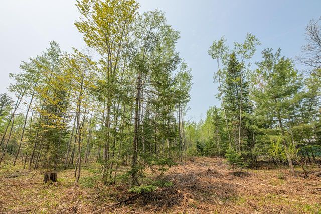 Lot 2 Cth S, Land O Lakes, WI 54540