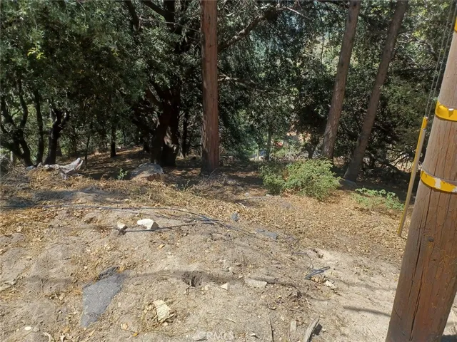 Lo Ln, Twin Peaks, CA 92391