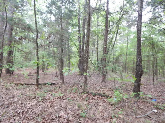 Lot 39 Winterberry Rd, Big Sandy, TX 75755