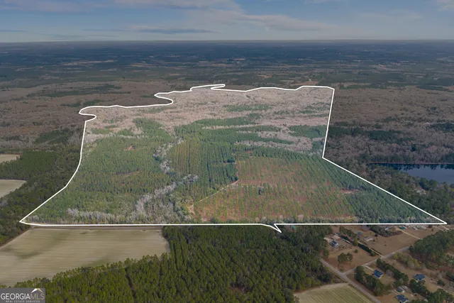 1000 Old River Rd S, Brooklet, GA 30415