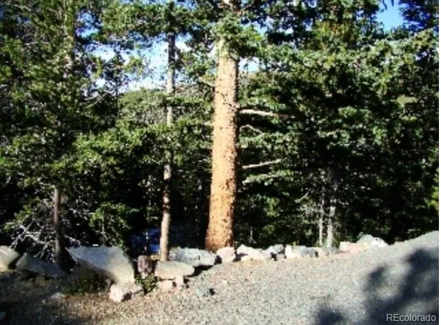 Lot 89 Mine Road, Idaho Springs, CO 80452