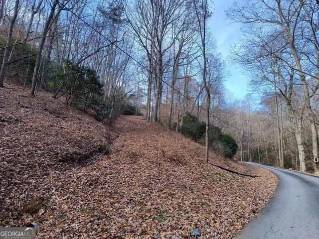9 Cherokee Cir, Ellijay, GA 30536