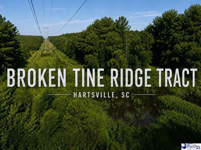 1433 Clyde School Rd, Mc Bee, SC 29101