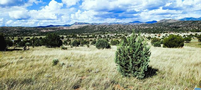 Lot 2 Poncho Rd, Mimbres, NM 88049