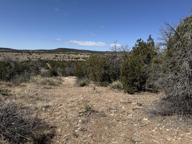 156A County Line Rd, Edgewood, NM 87015