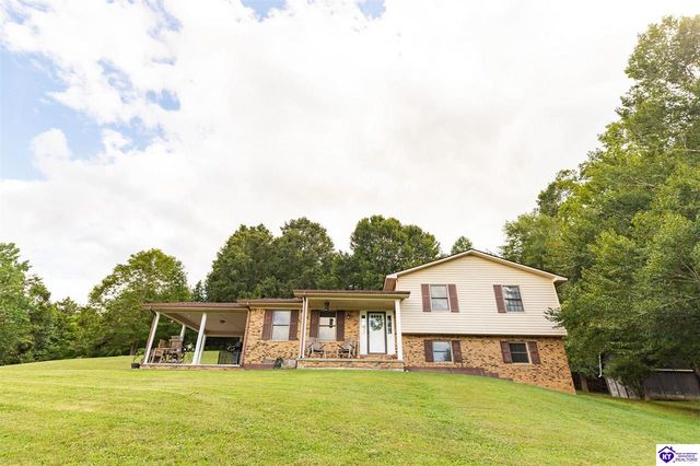 385 W  Maple St, Caneyville, KY 42721