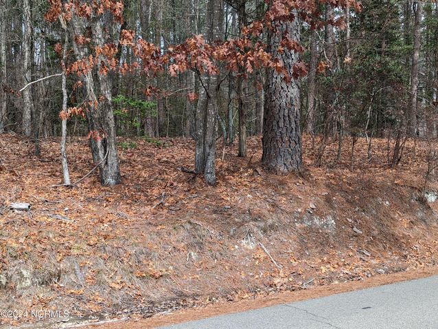 148 Lakeview Drive LOT 58, Carthage, NC 28327