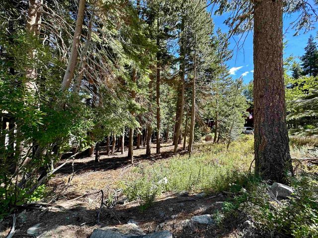 123 Woodman St, Mammoth Lakes, CA 93546